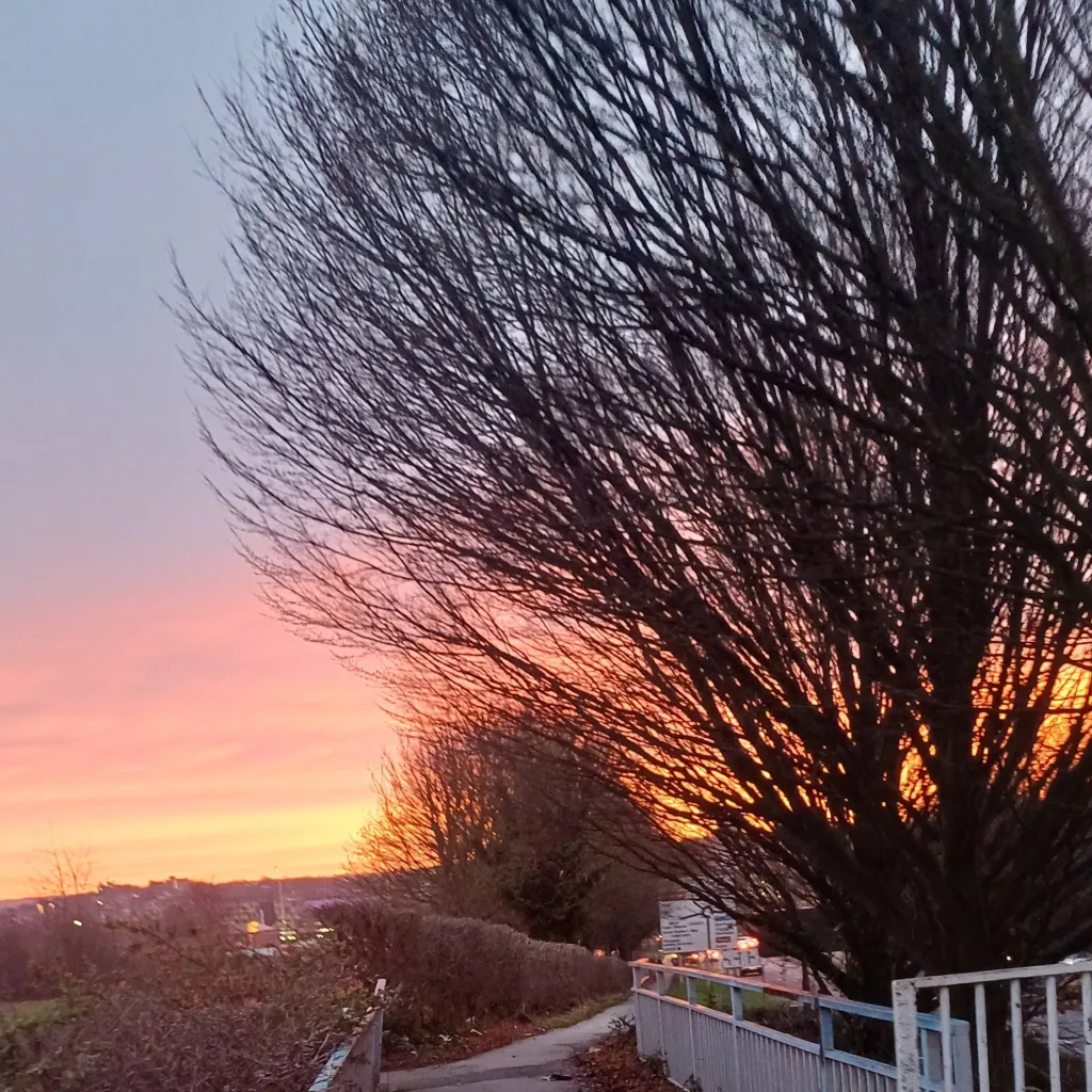 chat with ai character: Darcy Jay 🏀🎸