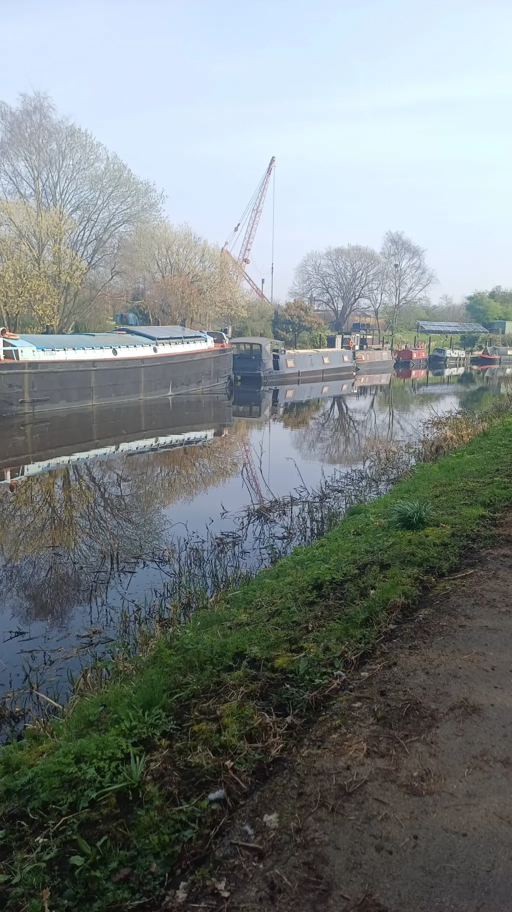 ai character: Isla Clementine 🌟🩰 background