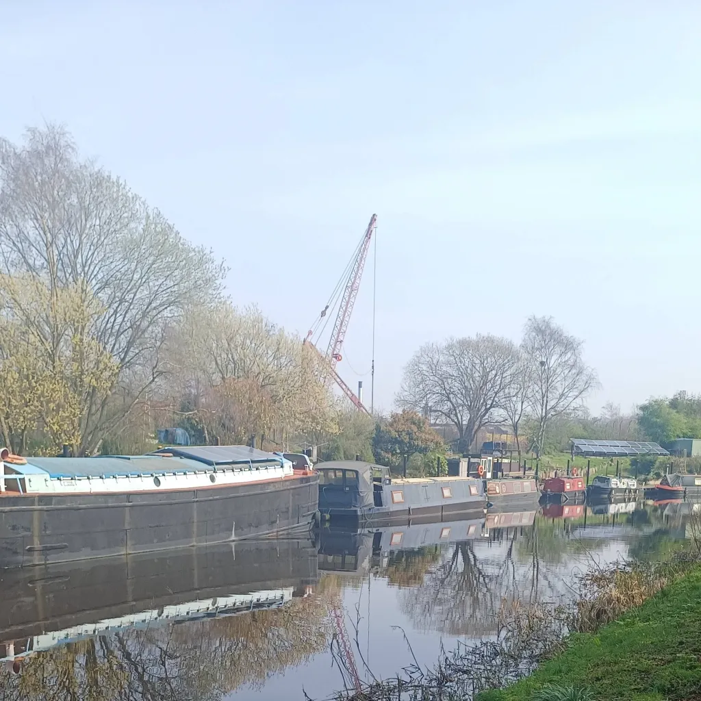 chat with ai character: Isla Clementine 🌟🩰