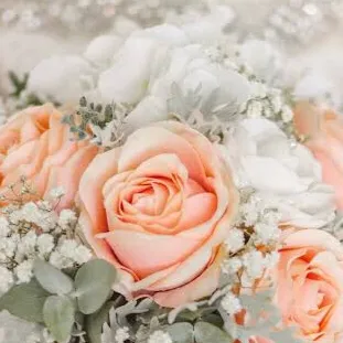 chat with ai character: Fancy 