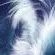 chat with ai character: Bluestar 