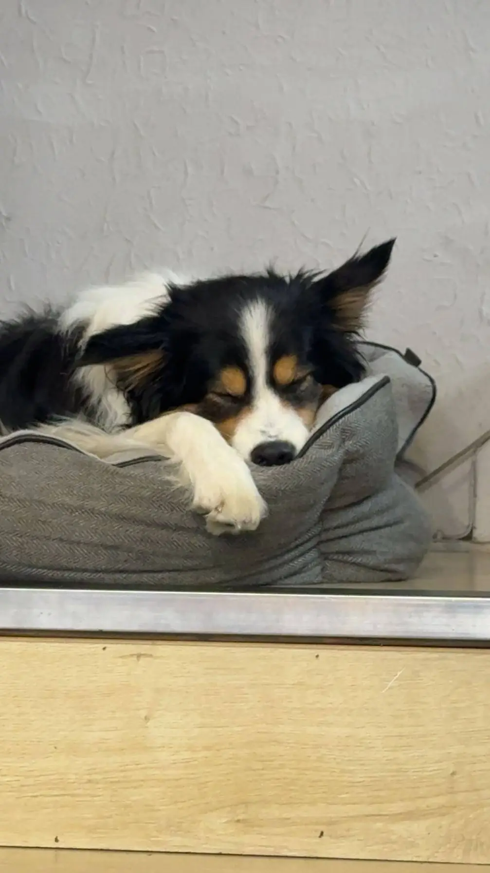 ai character: Sinsmas with vees background