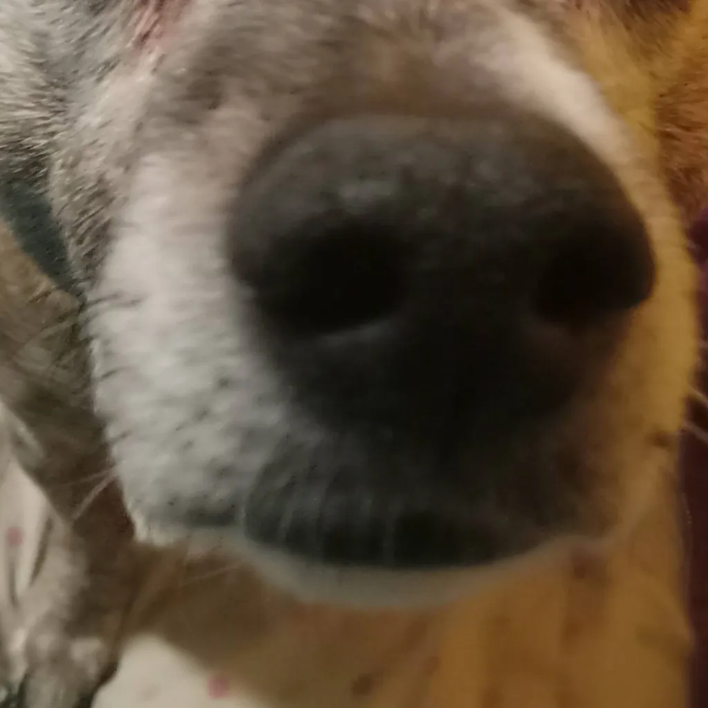 chat with ai character: Idk anymore