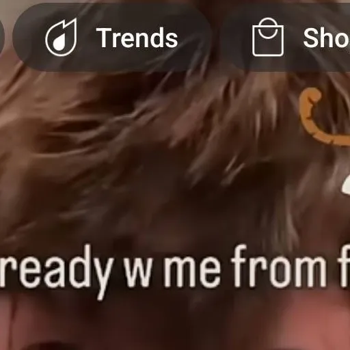 chat with ai character: furry human fan