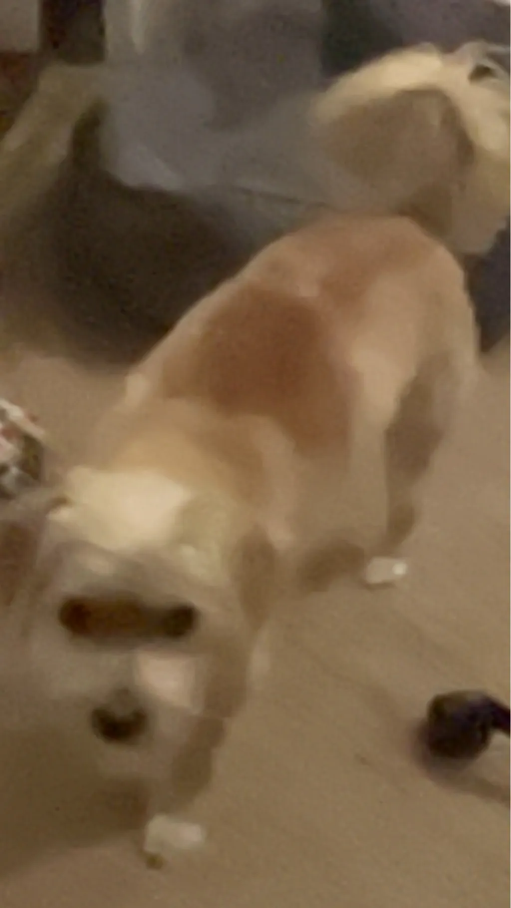 ai character: Zeus background