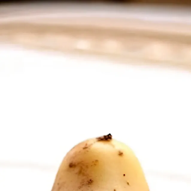 chat with ai character: Potato 