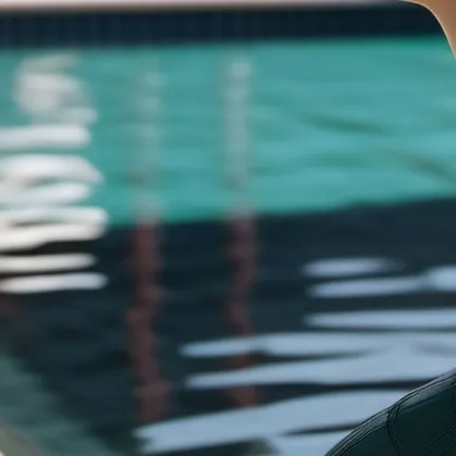 chat with ai character: Rachel the Rabbit