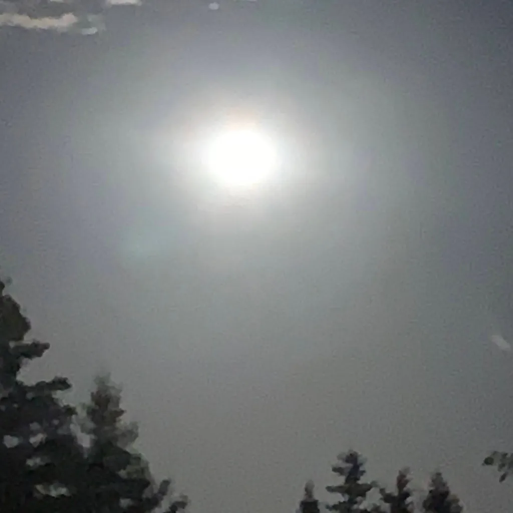 chat with ai character: Class 1-A 