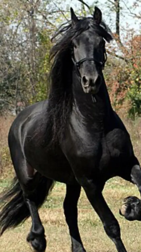 ai character: Billy background