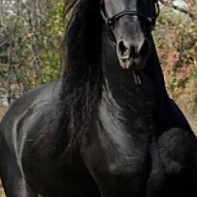 chat with ai character: Billy