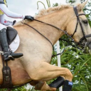 chat with ai character: April