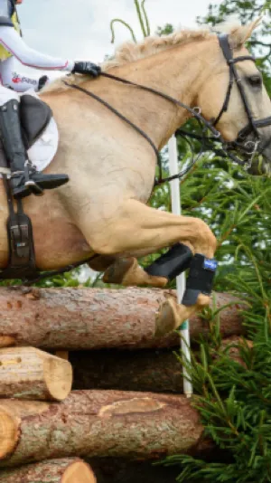 ai character: April background