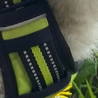 chat with ai character: Emerald