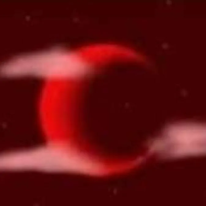 chat with ai character: BloodlustInfecion