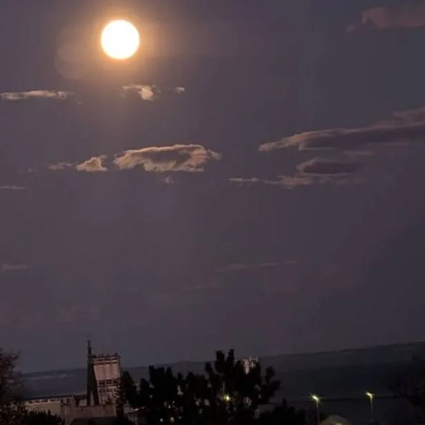 chat with ai character: Alexander Banks