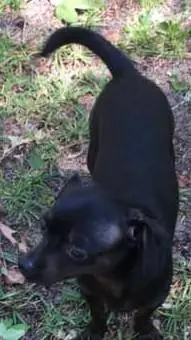 ai character: storm background