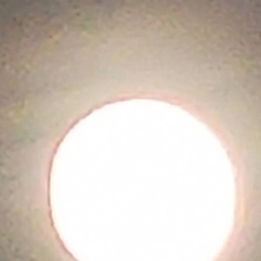 chat with ai character: The life of n. jr