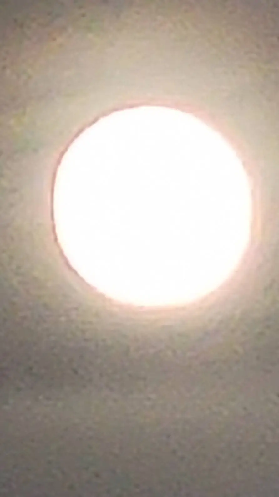 ai character: The life of n. jr background