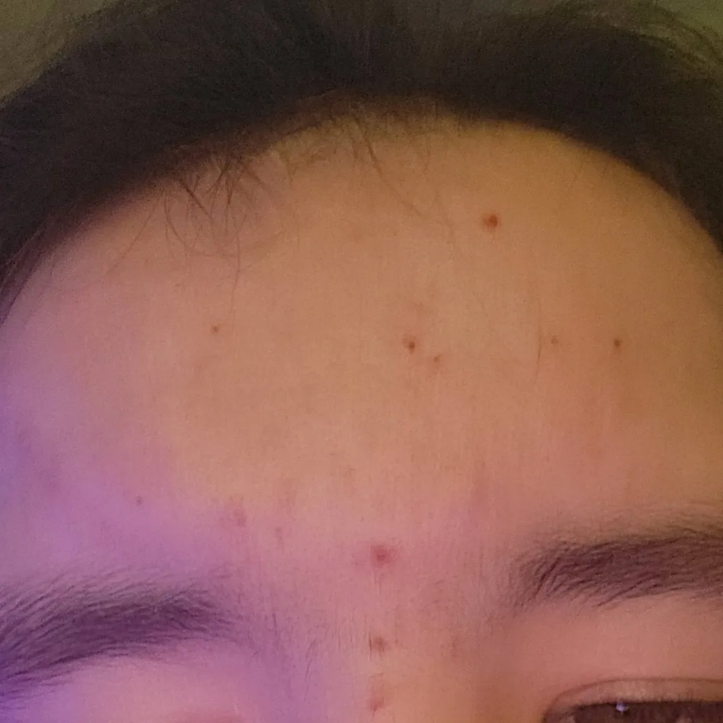 chat with ai character: Chaotic family