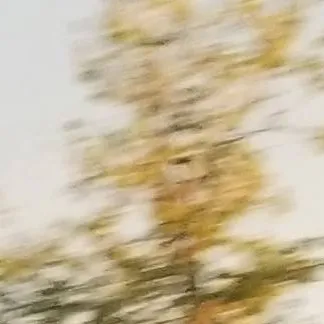 chat with ai character: Coro los angelitos