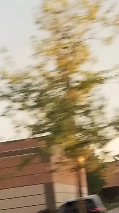 ai character: Coro los angelitos background