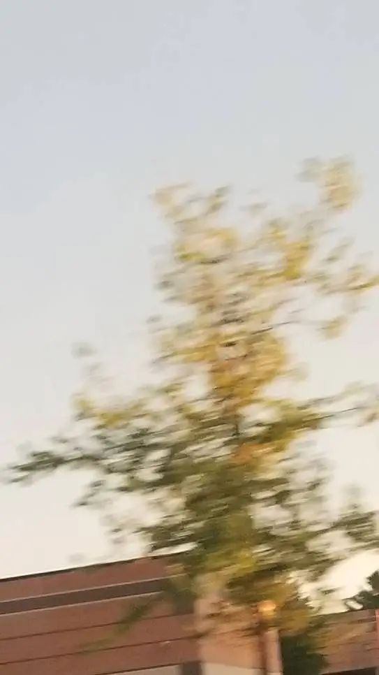 ai character: Coro los angelitos background