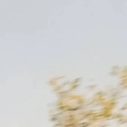 chat with ai character: Coro los angelitos