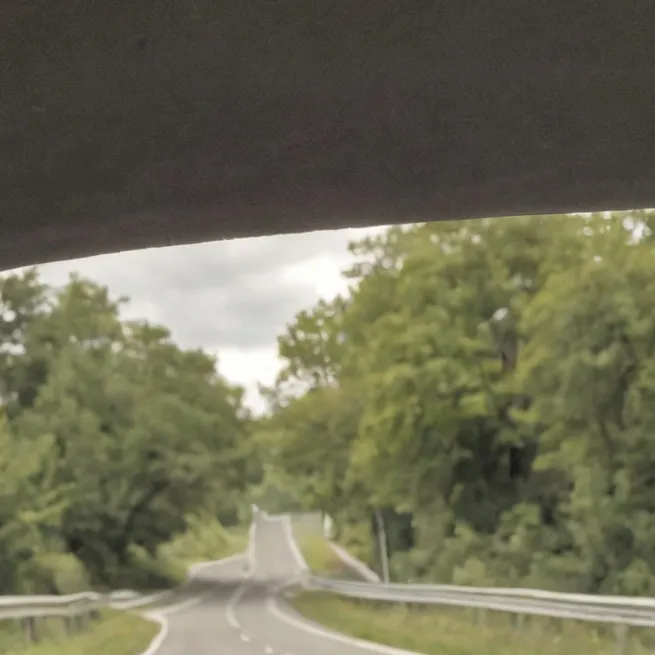 chat with ai character: Car Trip Chaos 