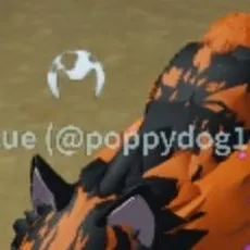 chat with ai character: dragon'claw 
