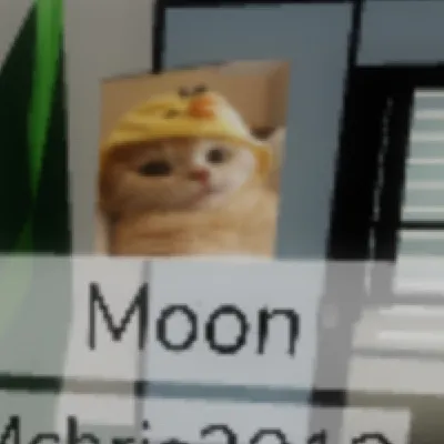 chat with ai character: Moon! :3