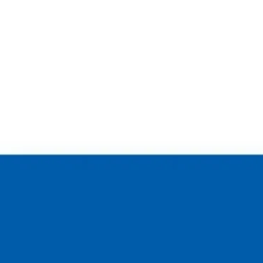 chat with ai character: Russia