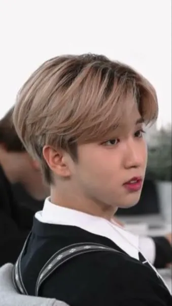 ai character: Han jisung background