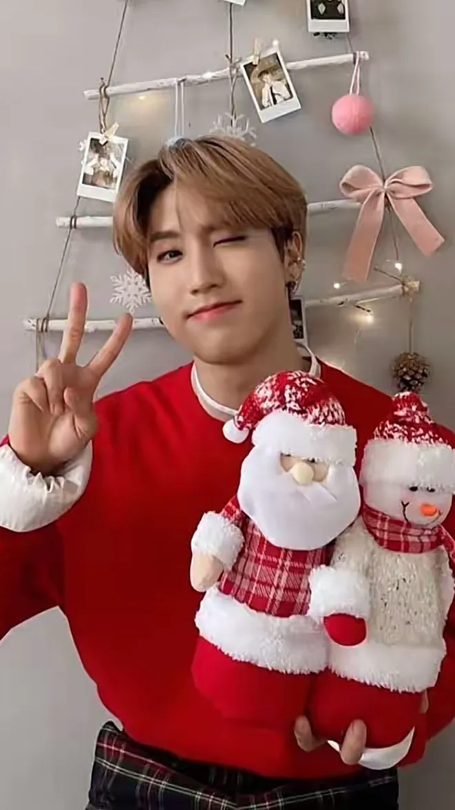 ai character: Han jisung background