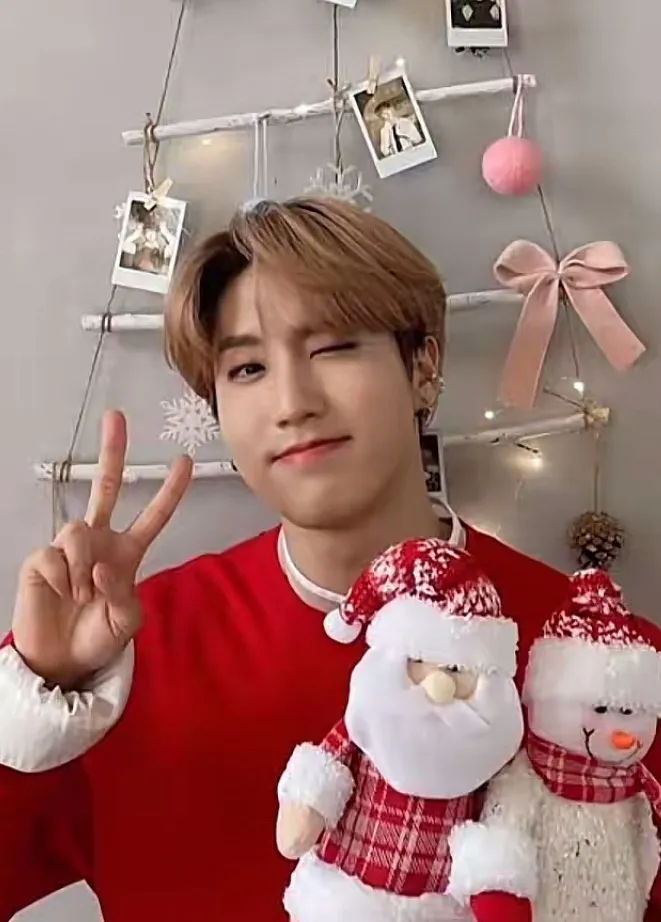 chat with ai character: Han jisung