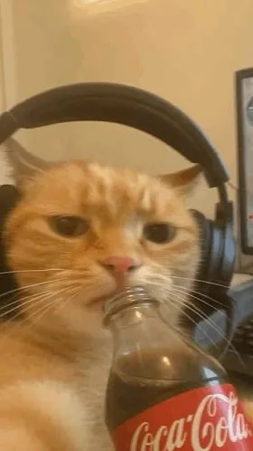 ai character: cat with cola background