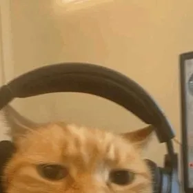 chat with ai character: cat with cola