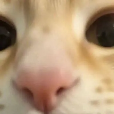 chat with ai character: Kitty