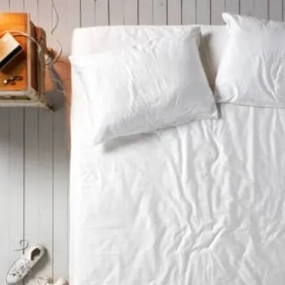 chat with ai character: bf