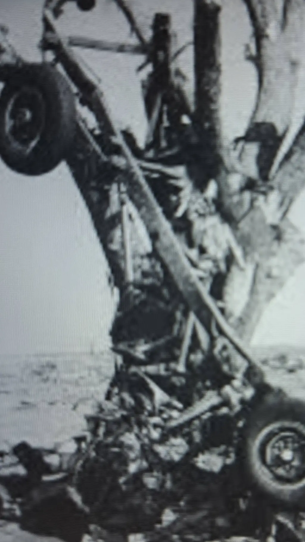 ai character: Udall 1955 background