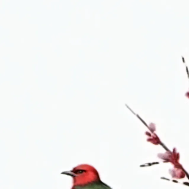 chat with ai character: Its up to you