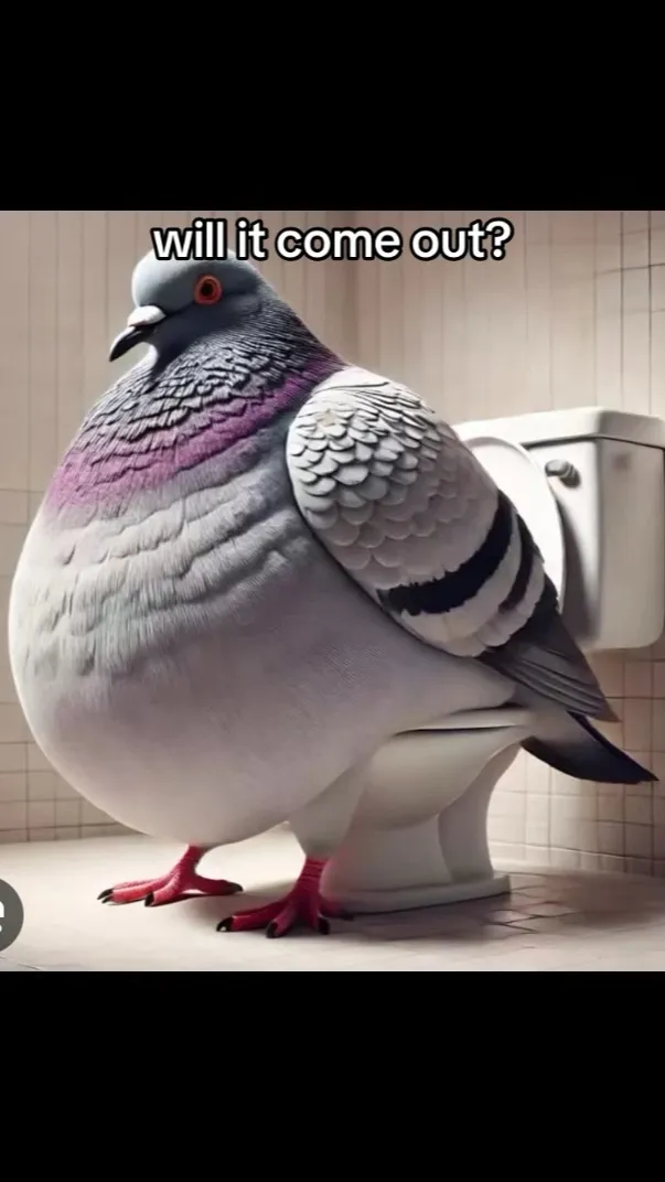 ai character: pigeon background