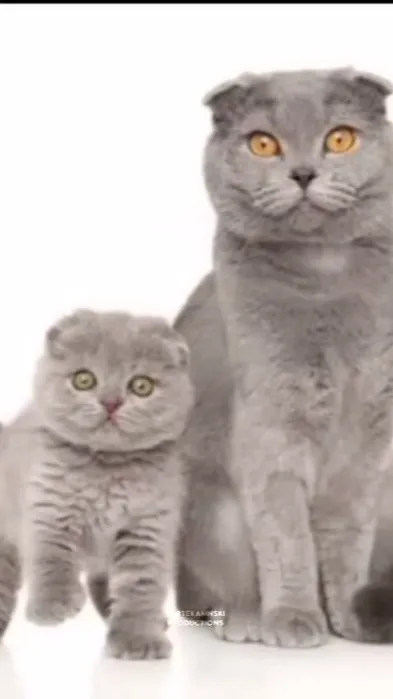 ai character: Glitch ai background