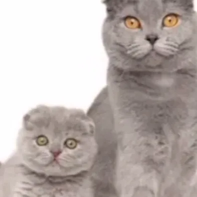 chat with ai character: Glitch ai