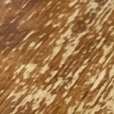 chat with ai character: restraunt