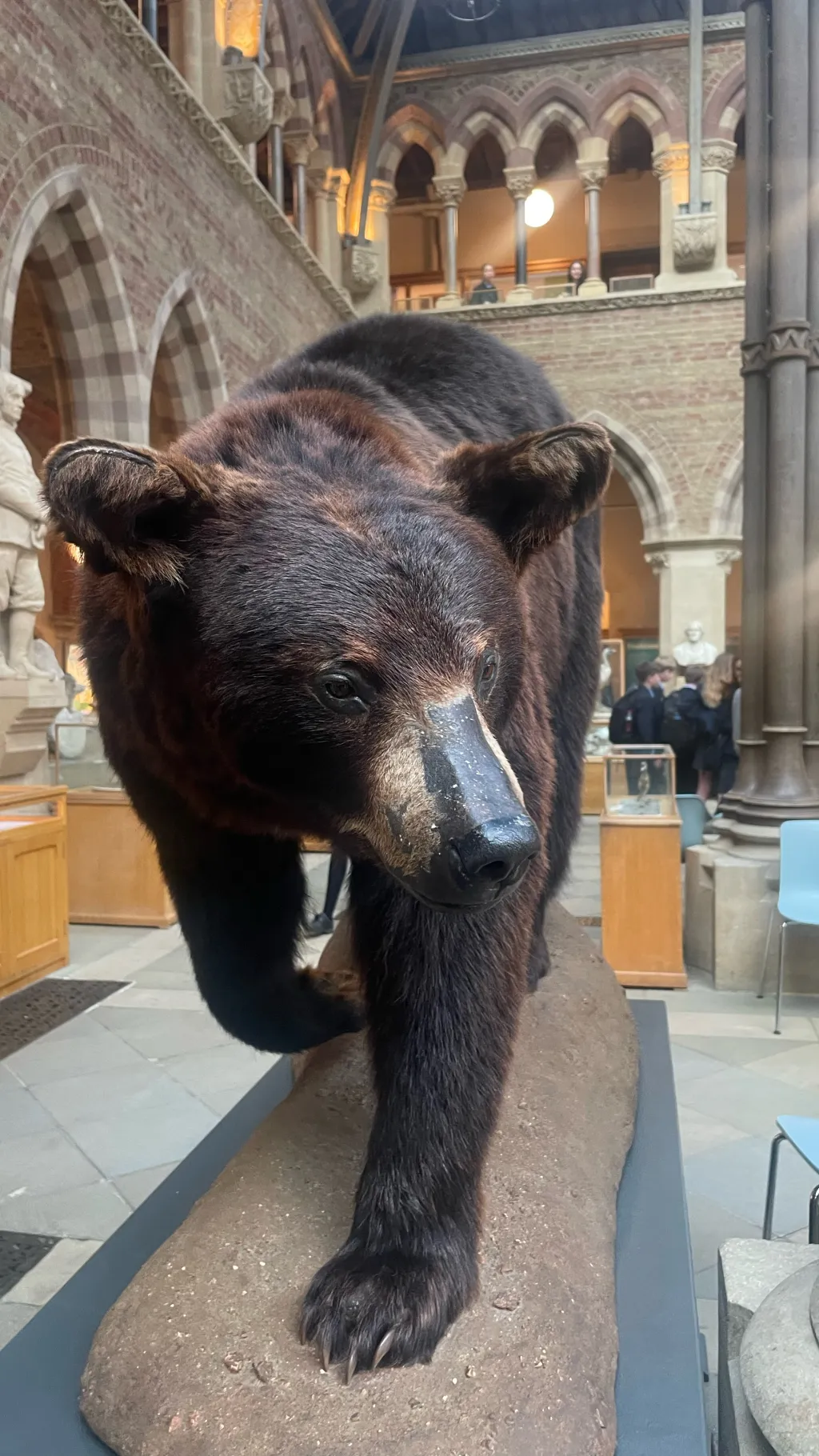 ai character: thing background