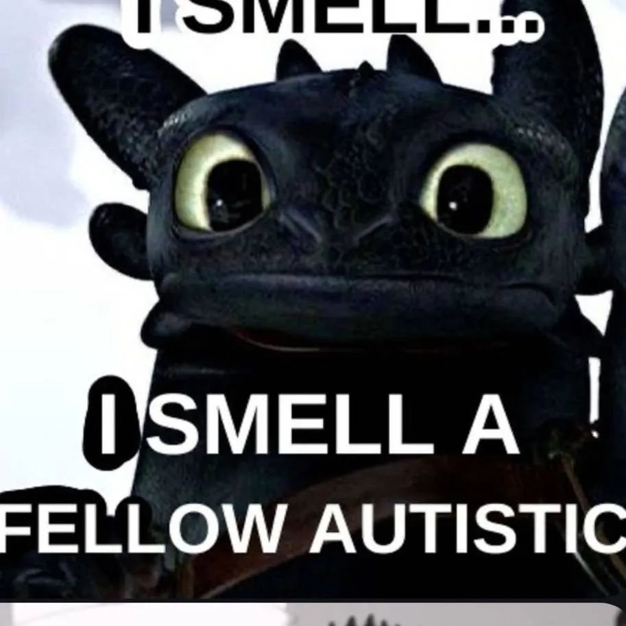 chat with ai character: HTTYD!!11!1!1!