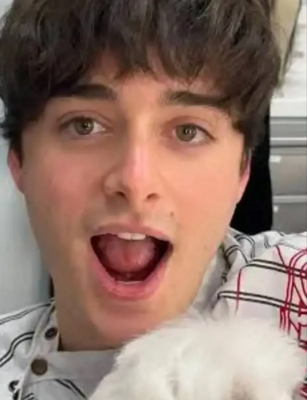 chat with ai character: ST 🏳️‍🌈🔥