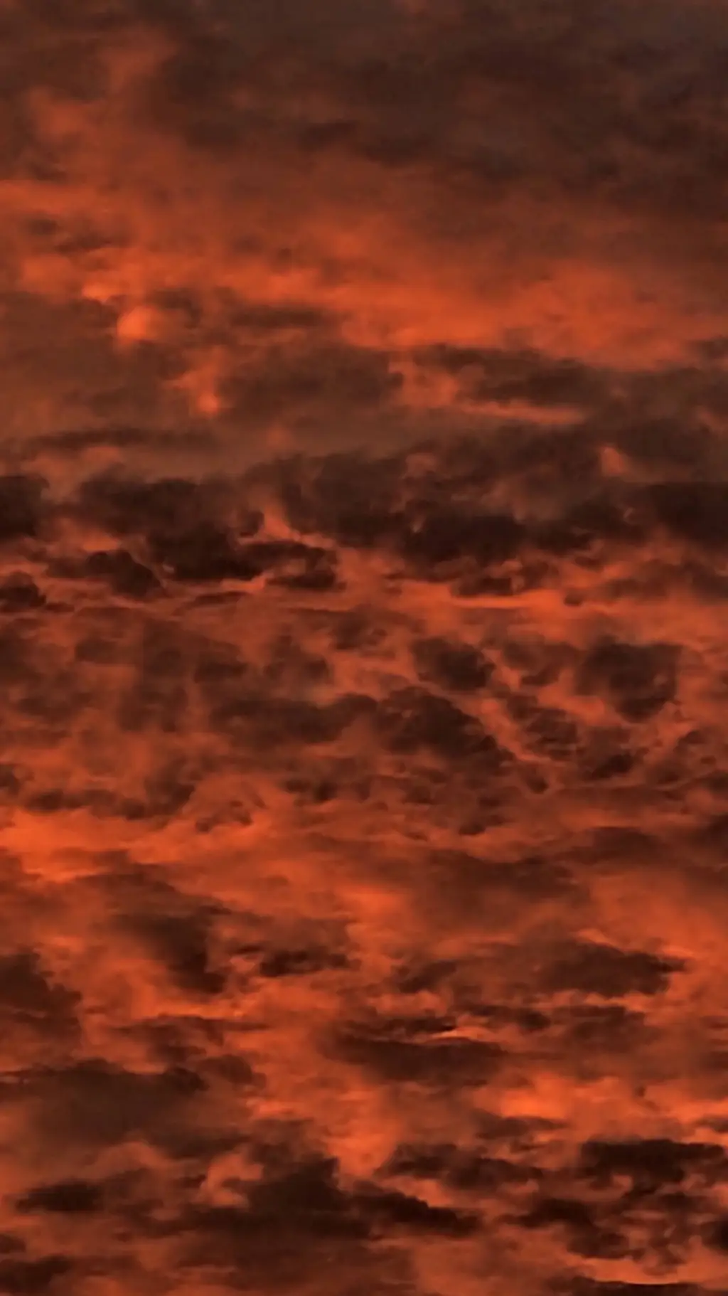 ai character: License  background