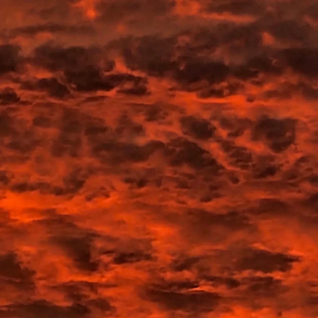 chat with ai character: License 