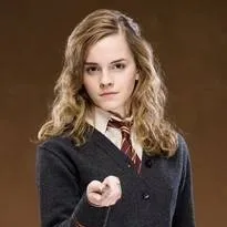 chat with ai character: Hermione granger